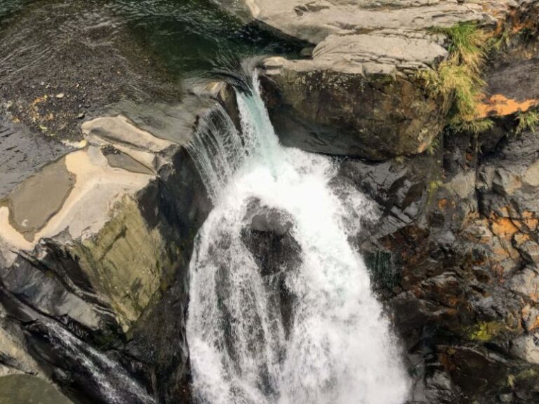 桃園｜拉拉山&上巴陵&小烏來一日遊｜台北新北桃園出發