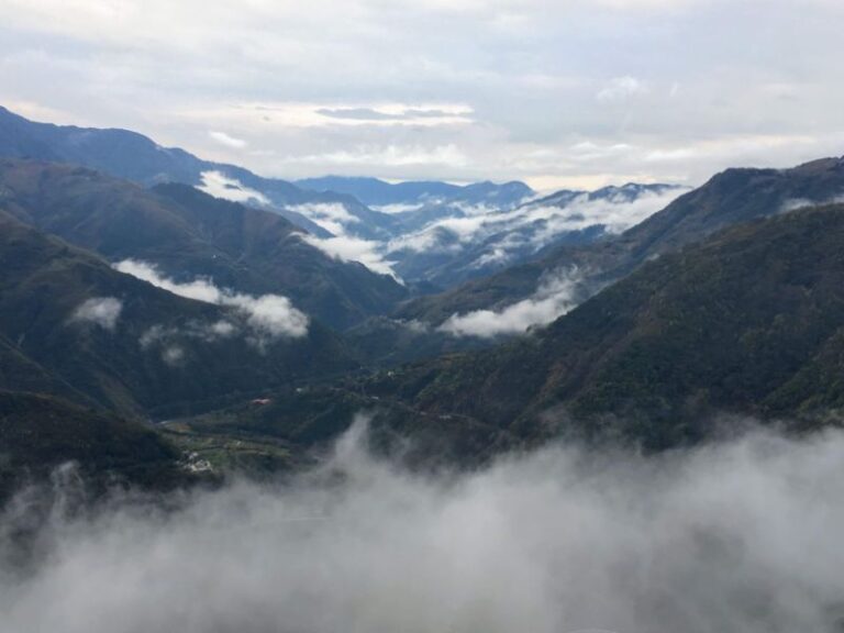桃園｜拉拉山&上巴陵&小烏來一日遊｜台北新北桃園出發