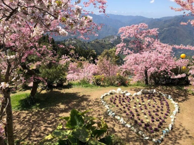 桃園｜拉拉山&上巴陵&恩愛農場一日遊｜台北新北桃園出發
