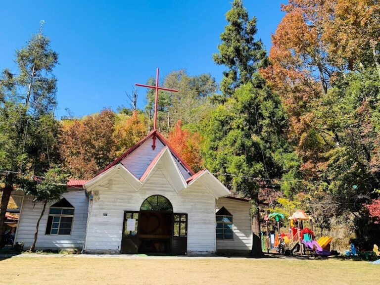 新竹尖石｜上帝的部落司馬庫斯一日接送｜台北/新北/桃園/新竹出發