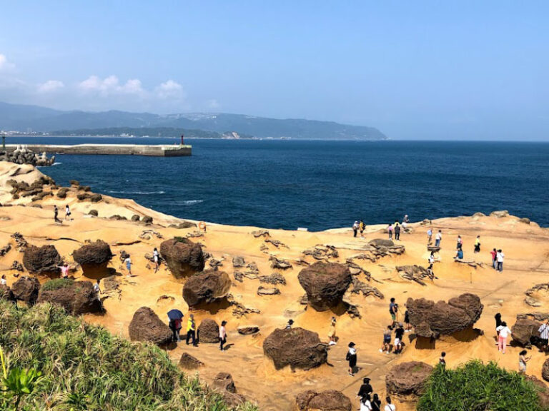熱門北海岸景點｜野柳、淡水、金山老街、朱銘美術館一日接送｜台北新北出發