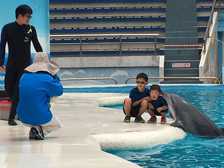 熱門北海岸景點｜野柳、淡水、金山老街、朱銘美術館一日接送｜台北新北出發