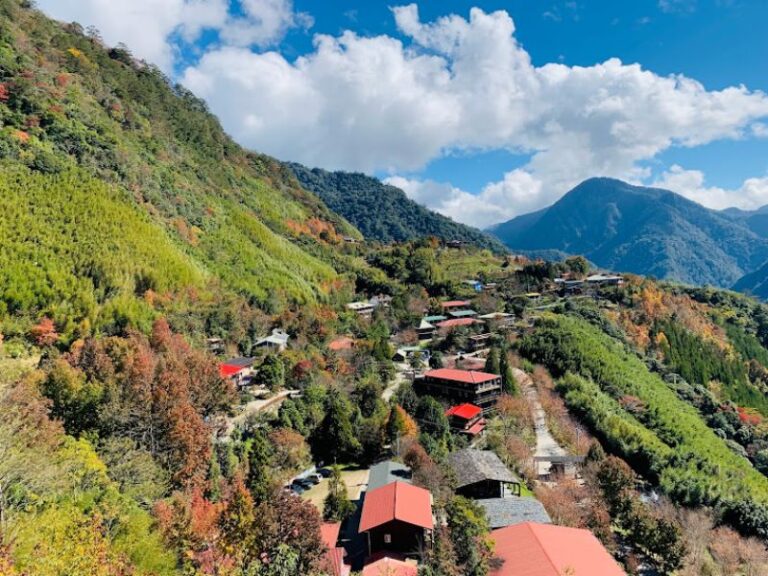 新竹尖石2日｜司馬庫斯兩天一夜包車接送｜台北/新北/桃園/新竹出發