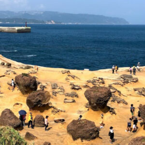 熱門北海岸景點｜野柳、淡水、金山老街、朱銘美術館1日接送｜台北新北出發