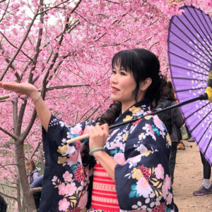 新竹景點包車旅遊｜青蛙石天空步道、鎮西堡、司馬庫斯兩天一夜｜台北/桃園/新竹出發