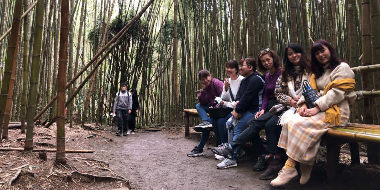 新竹景點包車旅遊｜青蛙石天空步道、鎮西堡、司馬庫斯兩天一夜｜台北/桃園/新竹出發