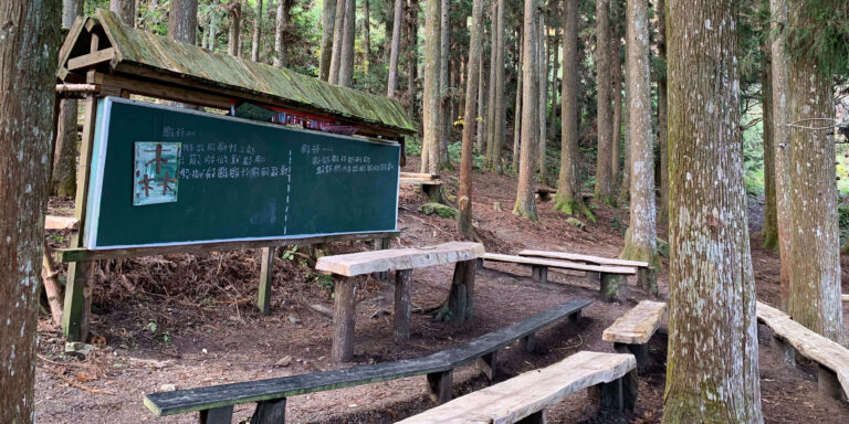 新竹景點包車旅遊｜青蛙石天空步道、鎮西堡、司馬庫斯兩天一夜｜台北/桃園/新竹出發