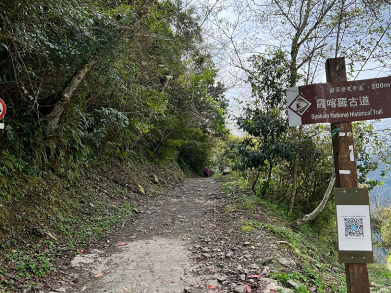 新竹森林秘境｜霞喀羅古道&馬鞍賞楓區一日接送｜台北/新北/桃園/新竹出發