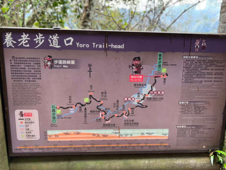 新竹森林秘境｜霞喀羅古道&馬鞍賞楓區一日接送｜台北/新北/桃園/新竹出發