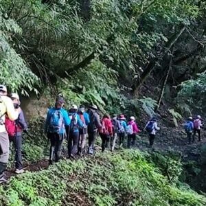 新竹森林秘境｜霞喀羅古道&馬鞍賞楓區一日接送｜台北/新北/桃園/新竹出發